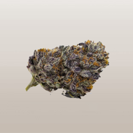 Frosted Gelato (Heavy Hitter) – THCa Flower